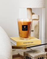 SCENTED CANDLE ALL SEASONS ZANZIBAR SPICES - BAOBAB COLLECTION