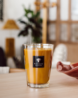 SCENTED CANDLE ALL SEASONS ZANZIBAR SPICES - BAOBAB COLLECTION