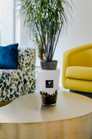 TOTEM FEATHERS - Baobab Collection