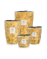 BOUGIE PARFUMÉE FOLIA GARRIGUE