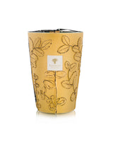 BOUGIE PARFUMÉE FOLIA GARRIGUE
