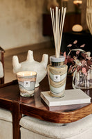 SCENTED CANDLE SAND SONORA - Baobab Collection
