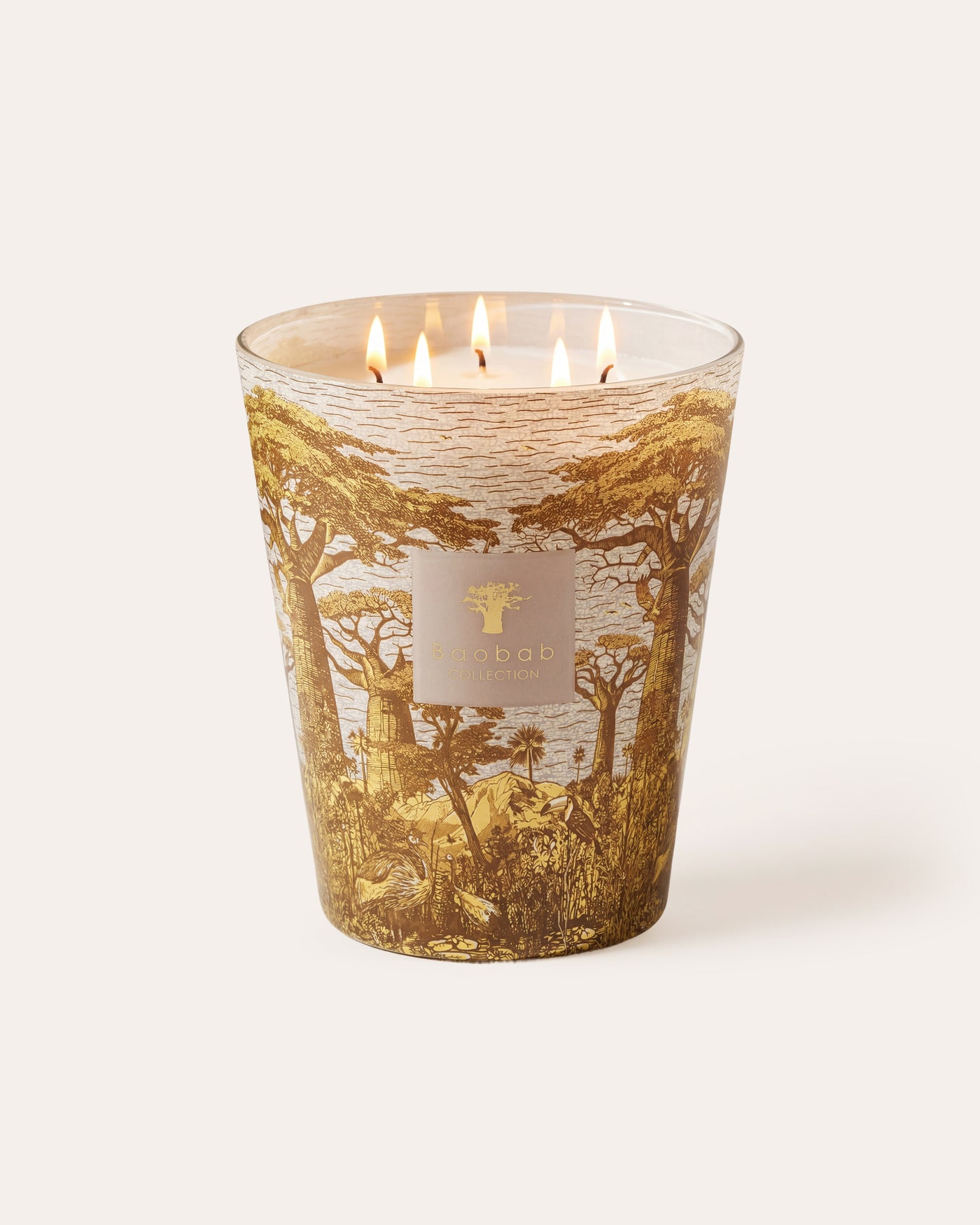 SCENTED CANDLE SACRED TREES BOUNKANI