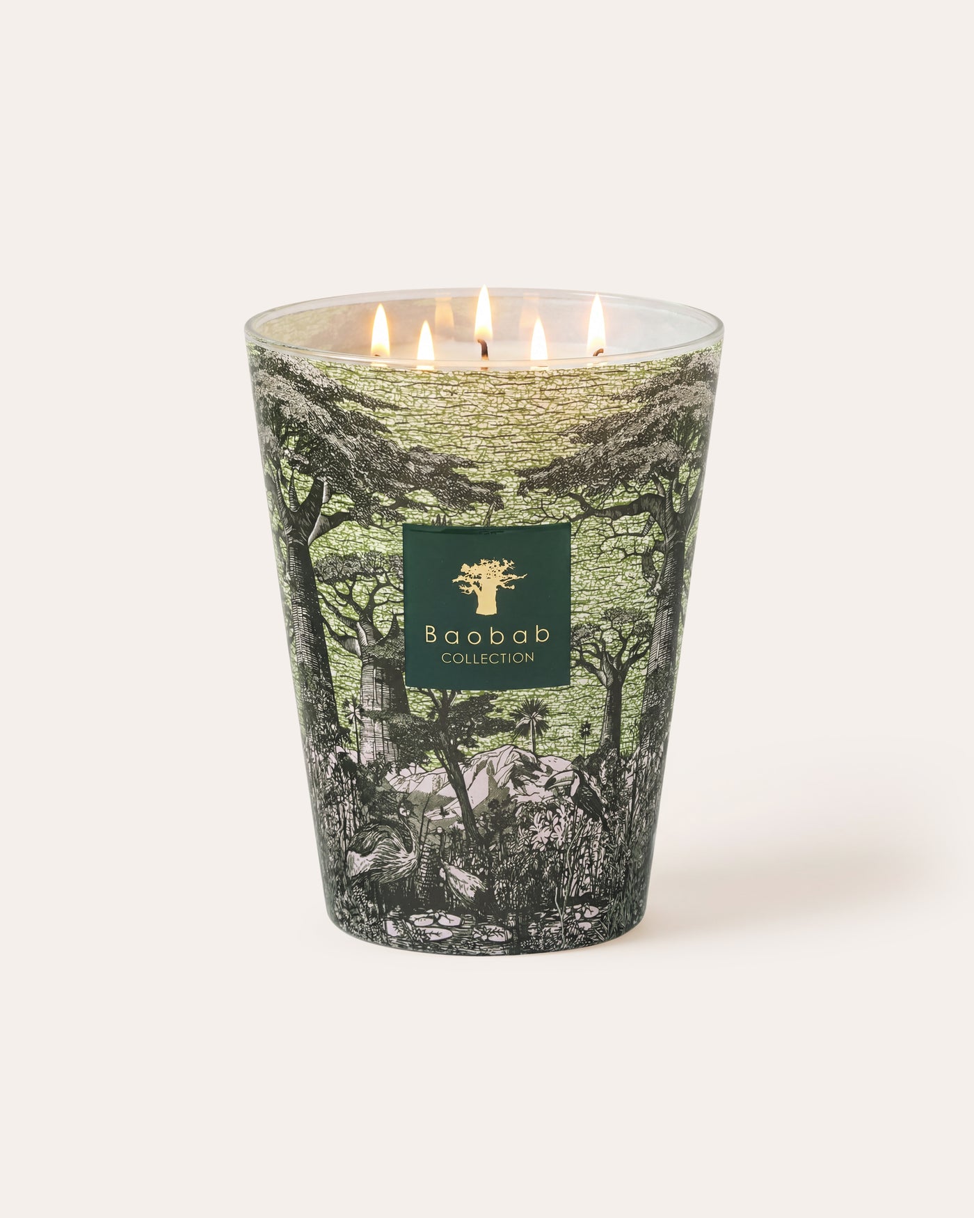 SCENTED CANDLE SACRED TREES TOUBA
