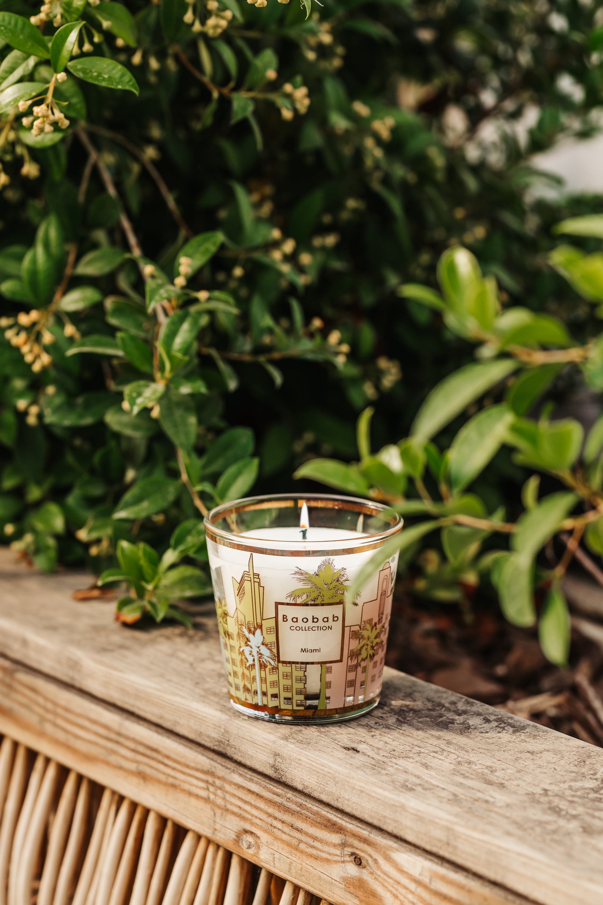 SCENTED CANDLE MY FIRST BAOBAB MIAMI - BAOBAB COLLECTION