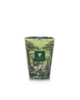 SCENTED CANDLE SACRED TREES TOUBA