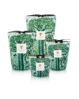 SCENTED CANDLE SACRED TREES KAMALO - Baobab Collection