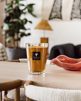 SCENTED CANDLE ALL SEASONS ZANZIBAR SPICES - BAOBAB COLLECTION