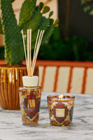 GIFT BOX MY FIRST BAOBAB MEXICO - Baobab Collection