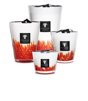 SCENTED CANDLE FEATHERS MAASAI - Baobab Collection