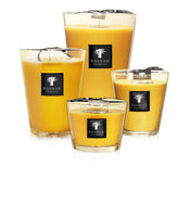 SCENTED CANDLE ALL SEASONS ZANZIBAR SPICES - BAOBAB COLLECTION