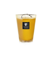 SCENTED CANDLE ALL SEASONS ZANZIBAR SPICES - BAOBAB COLLECTION