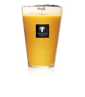 SCENTED CANDLE ALL SEASONS ZANZIBAR SPICES - BAOBAB COLLECTION