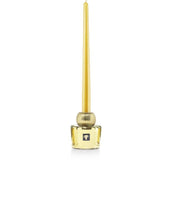 CANDLE HOLDER TWINS LES EXCLUSIVES AURUM - Baobab Collection