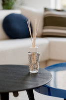DIFFUSER MY FIRST BAOBAB PLATINUM - Baobab Collection
