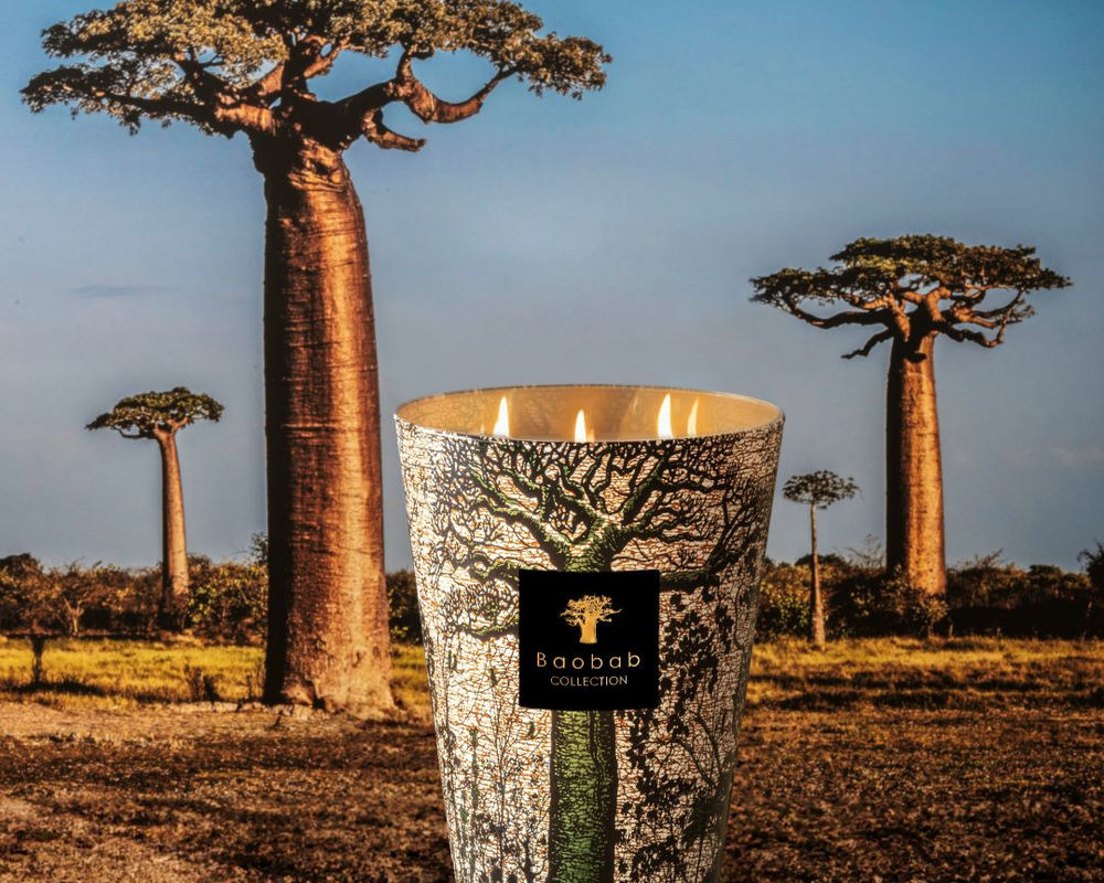 BAOBAB COLLECTION X FONDATION CŒUR VERT