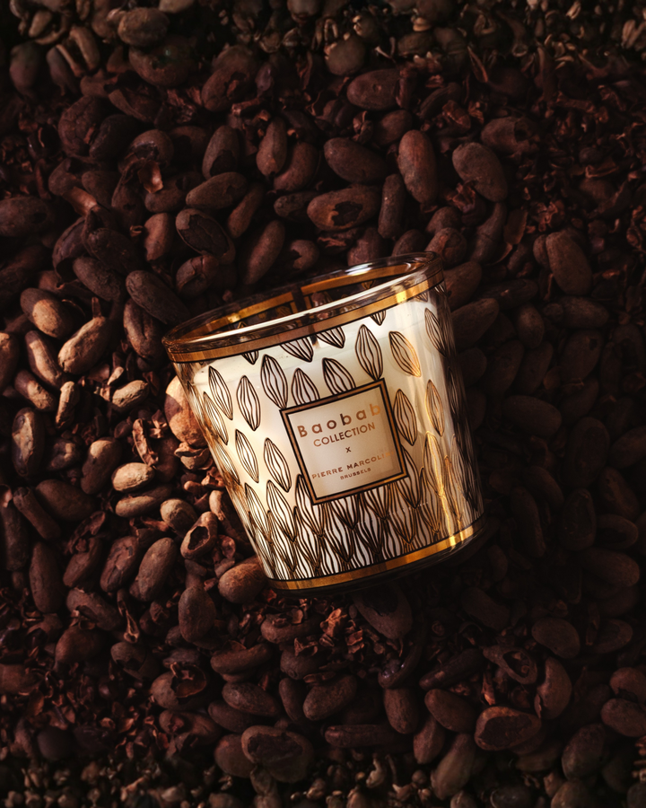 BAOBAB COLLECTION X PIERRE MARCOLINI
