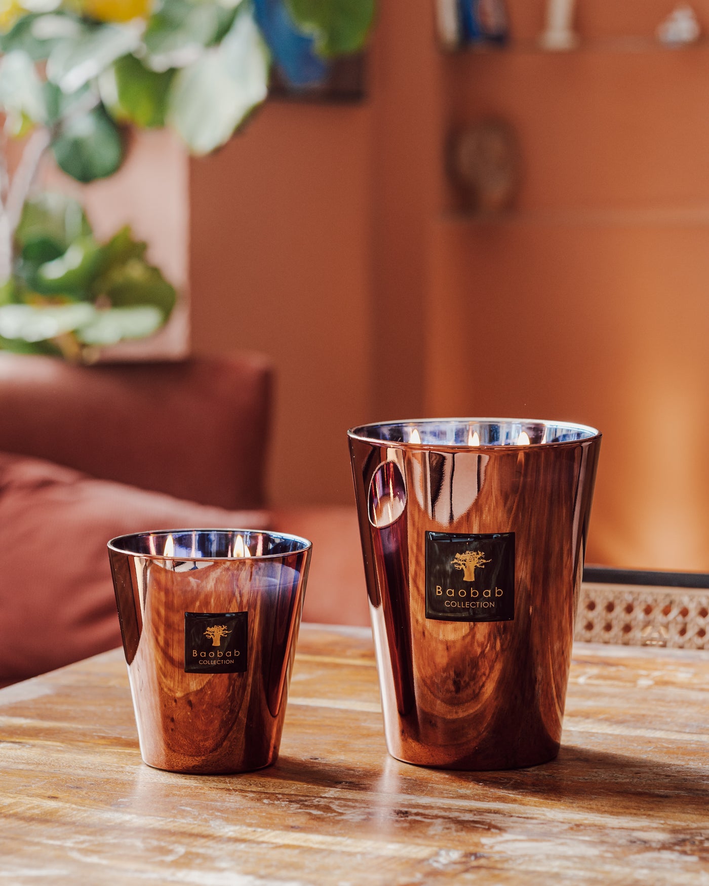 SCENTED CANDLE LES EXCLUSIVES CYPRIUM