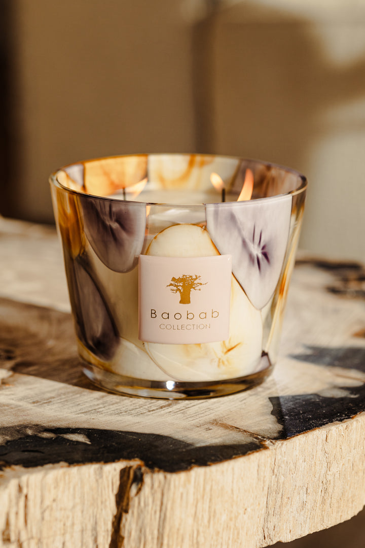 Baobab Collection () Baobab Collection