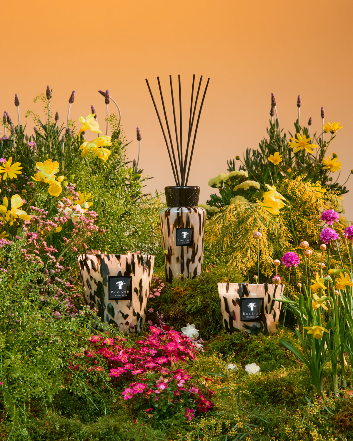 Baobab Collection - Luxury Scented Candles and Home Fragrances
