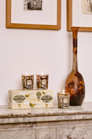 TRIO TRAVEL CANDLES ROSACE-CARAVANE-AFRIKA