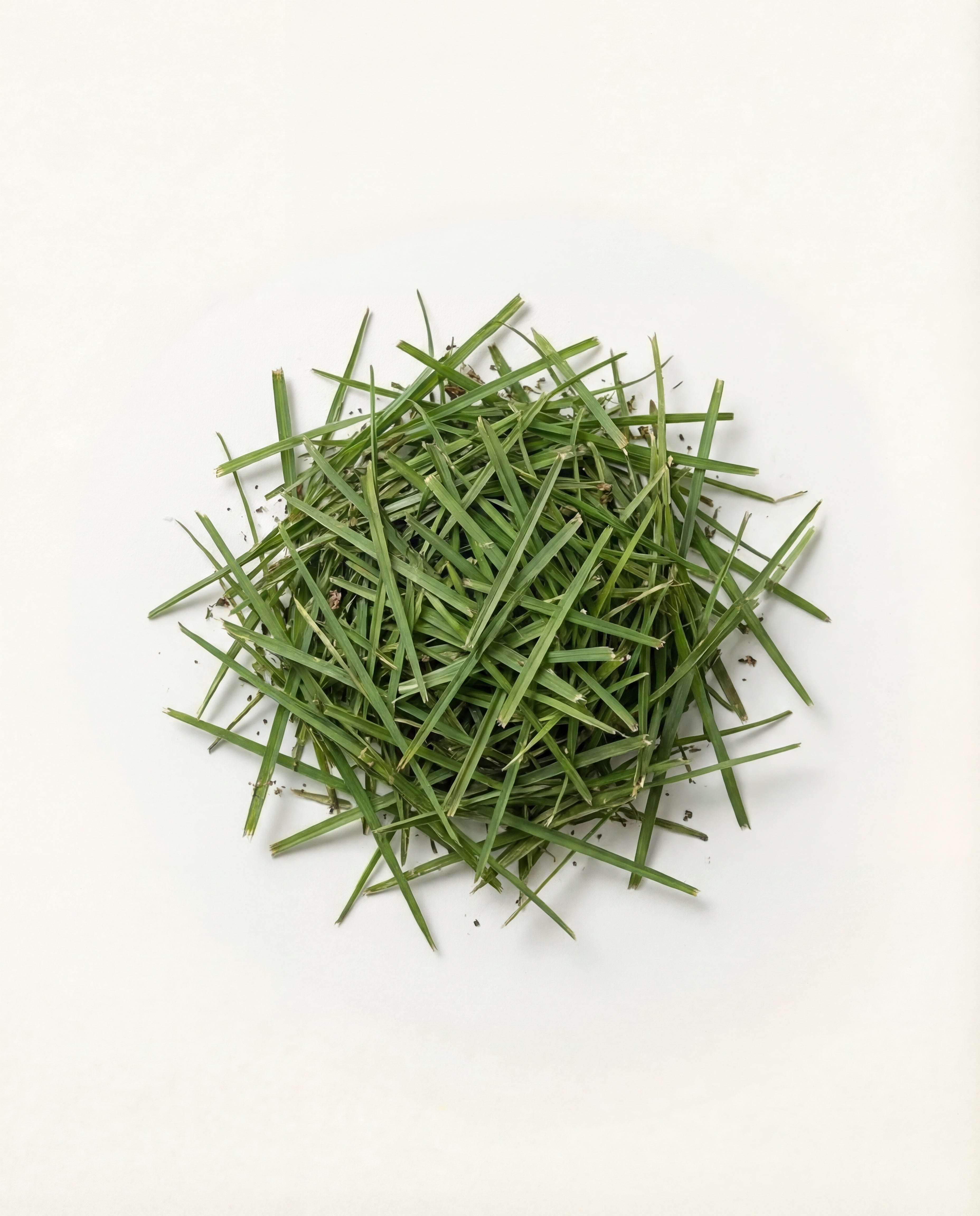 Cut grass • Baobab Collection