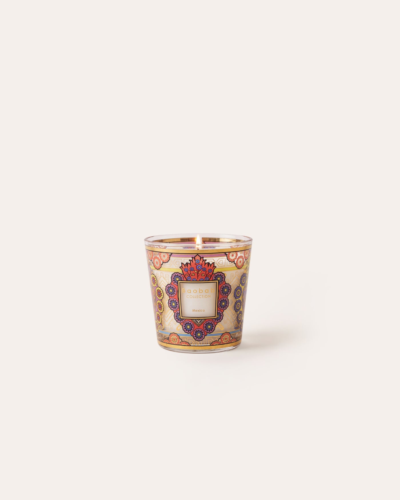 CANDELA MY FIRST BAOBAB MEXICO