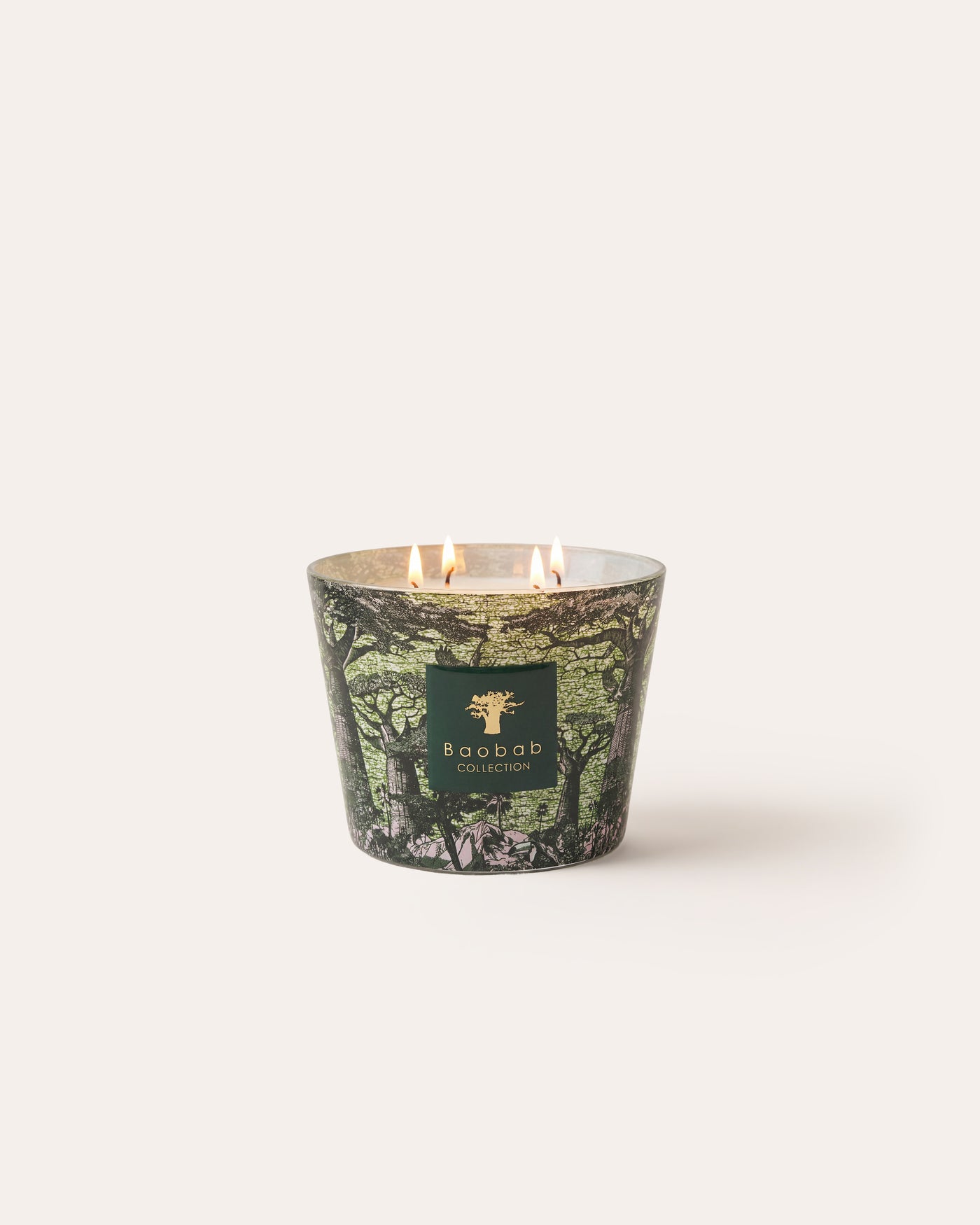SCENTED CANDLE SACRED TREES TOUBA