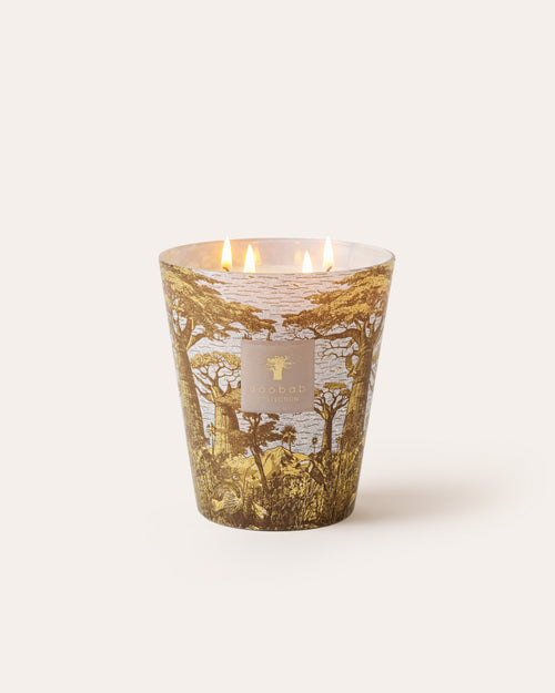 SCENTED CANDLE SACRED TREES BOUNKANI