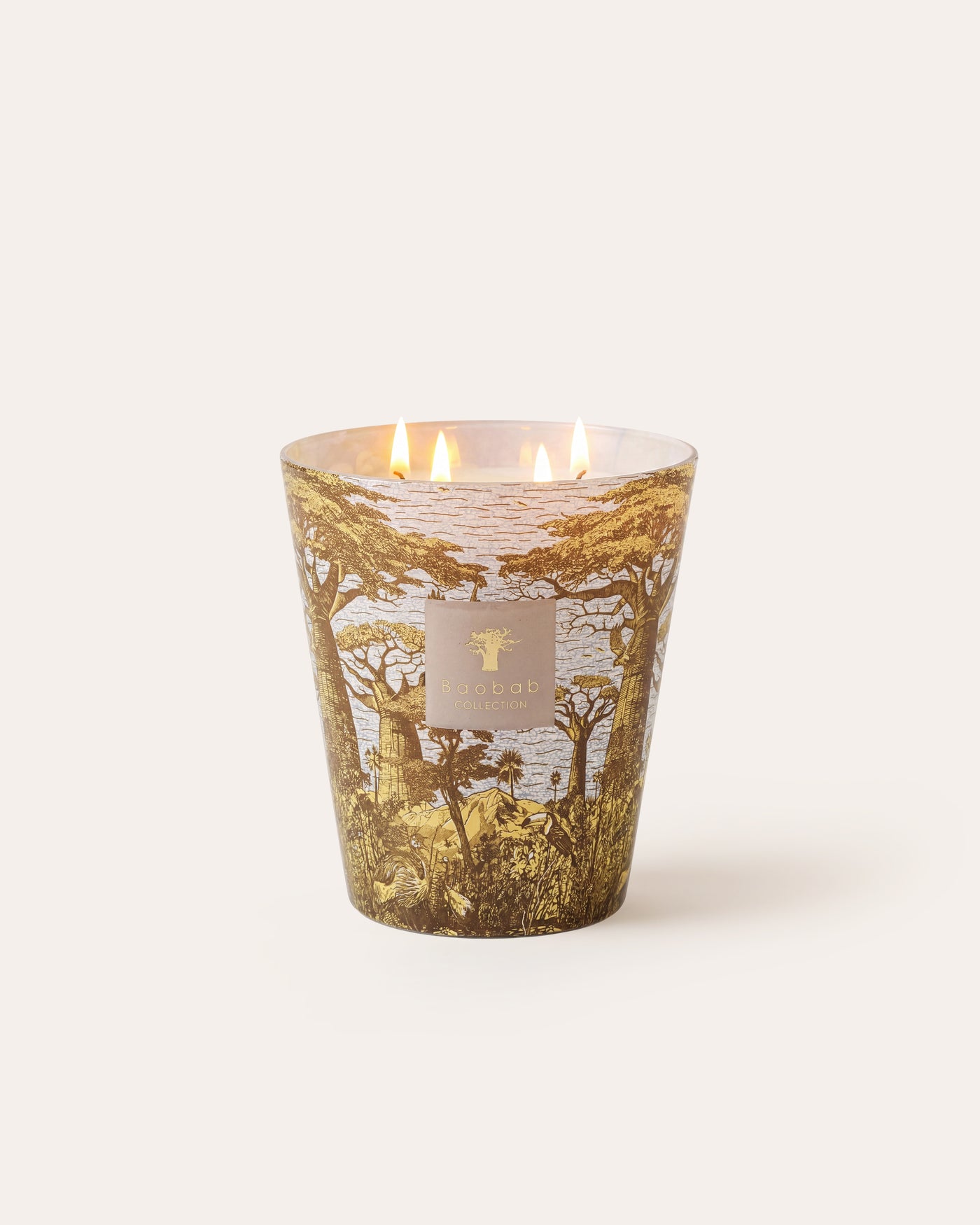 SCENTED CANDLE SACRED TREES BOUNKANI MAX 16
