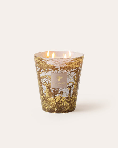 SCENTED CANDLE SACRED TREES BOUNKANI