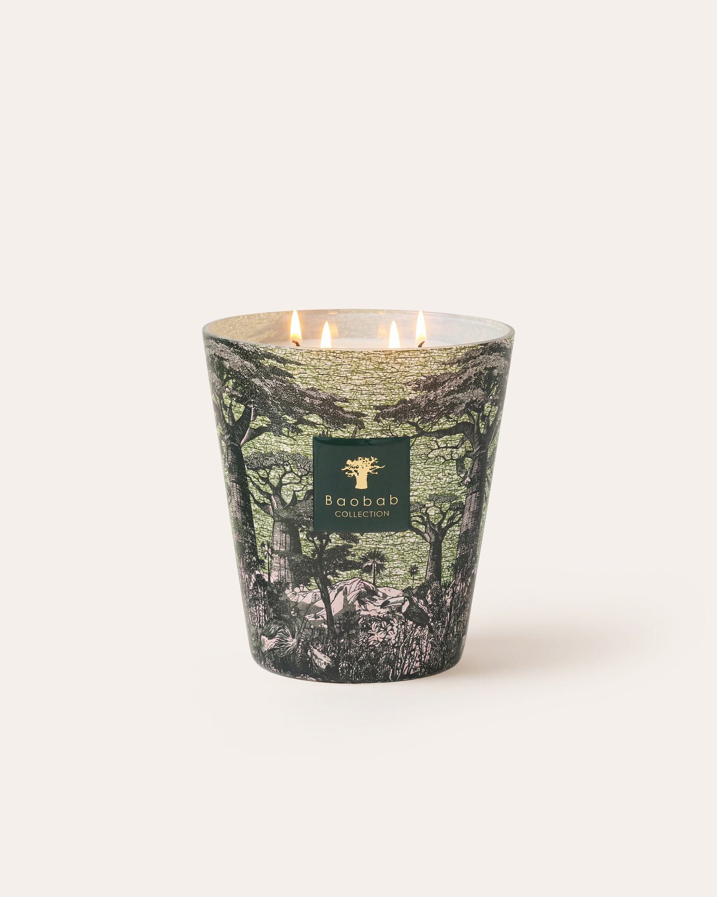 SCENTED CANDLE SACRED TREES TOUBA MAX 16