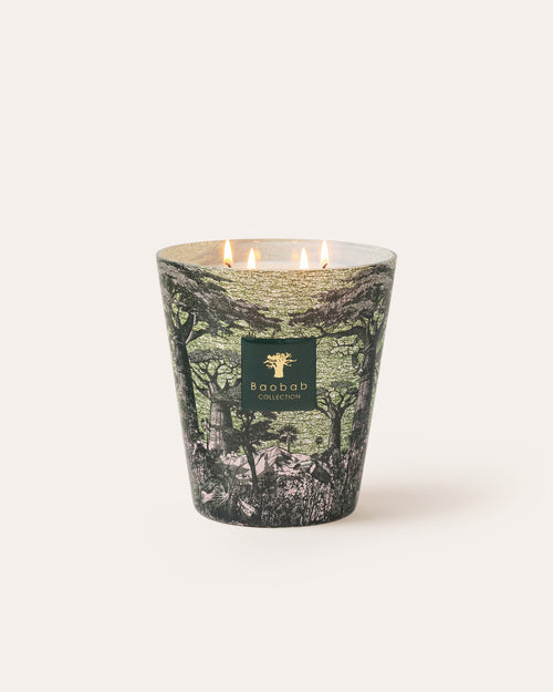 SCENTED CANDLE SACRED TREES TOUBA