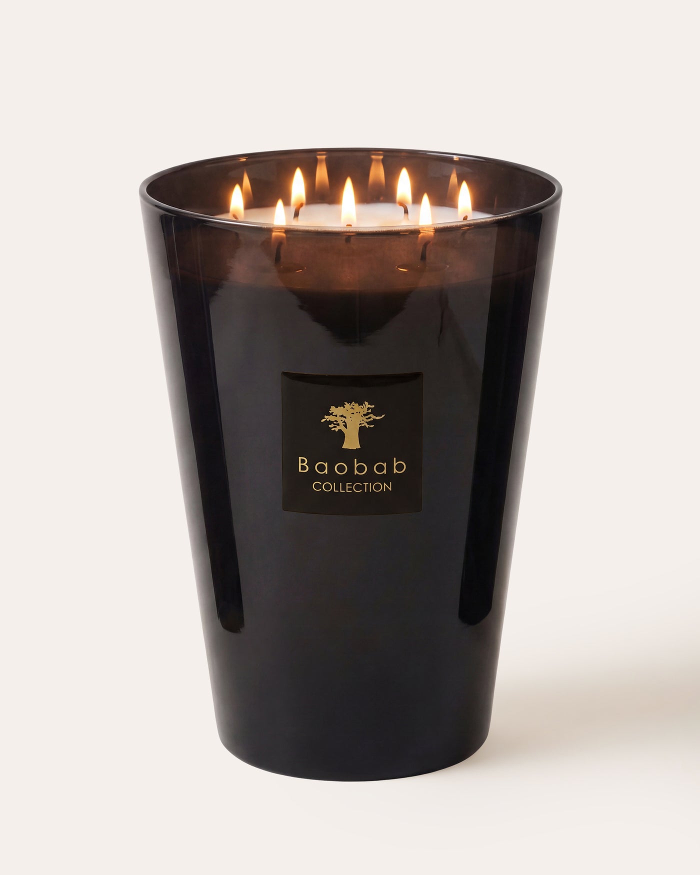 SCENTED CANDLE LES PRESTIGIEUSES ENCRE DE CHINE MAX 35