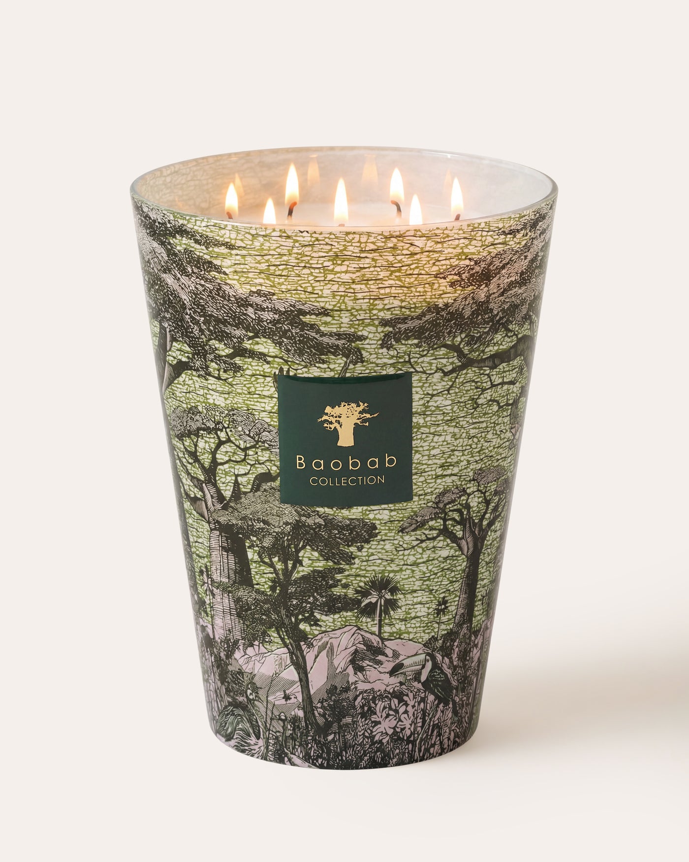 SCENTED CANDLE SACRED TREES TOUBA MAX 35