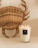 SCENTED CANDLE ALL SEASONS MADAGASCAR VANILLA - BAOBAB COLLECTION