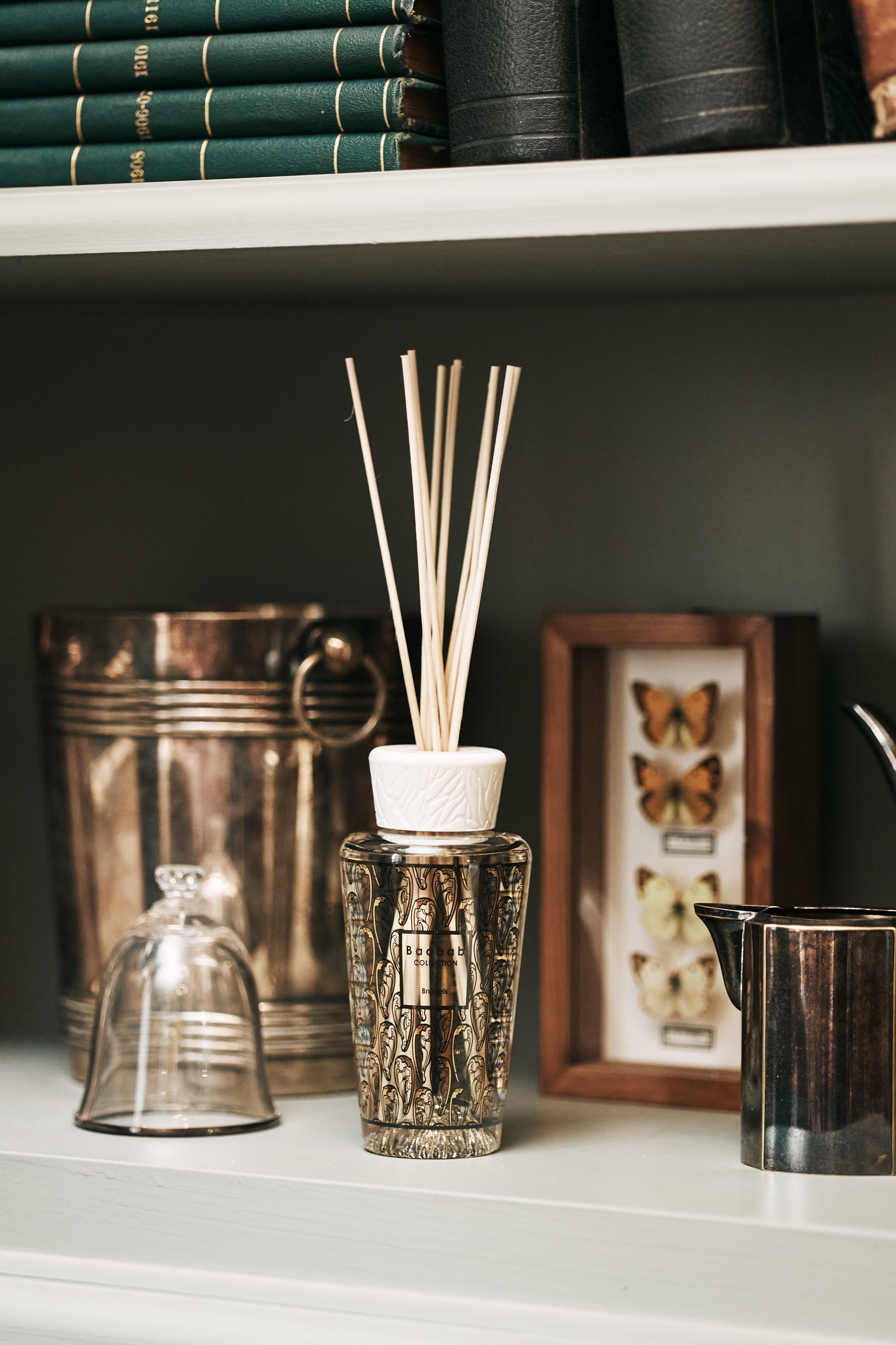 Stopover in Brussels • Baobab Collection
