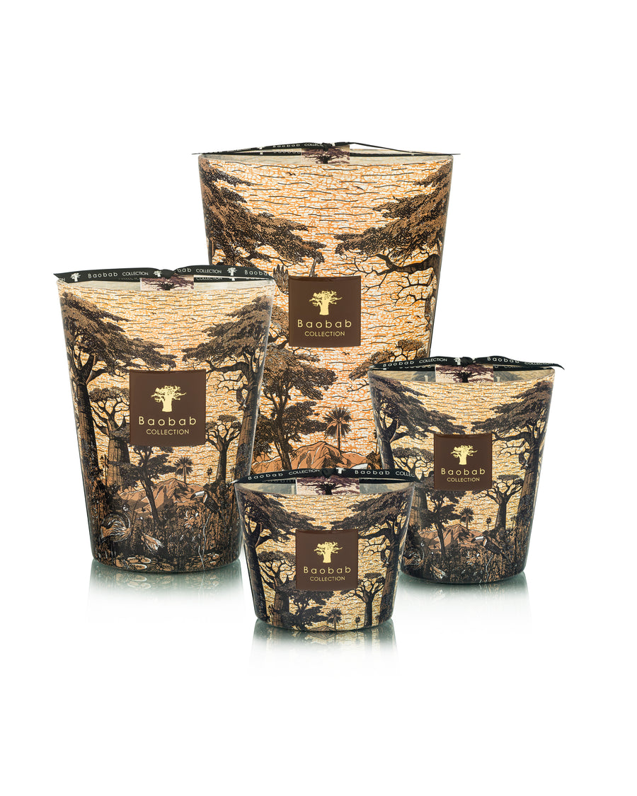 SCENTED CANDLE SACRED TREES MANKONO