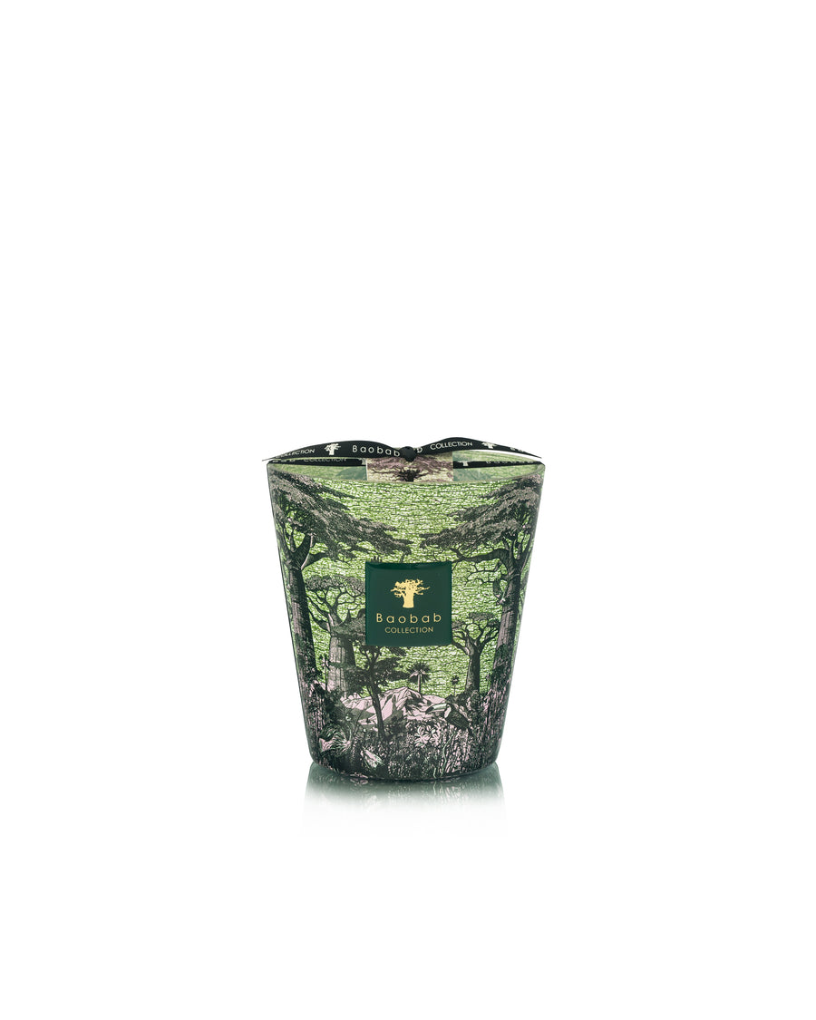 SCENTED CANDLE SACRED TREES TOUBA
