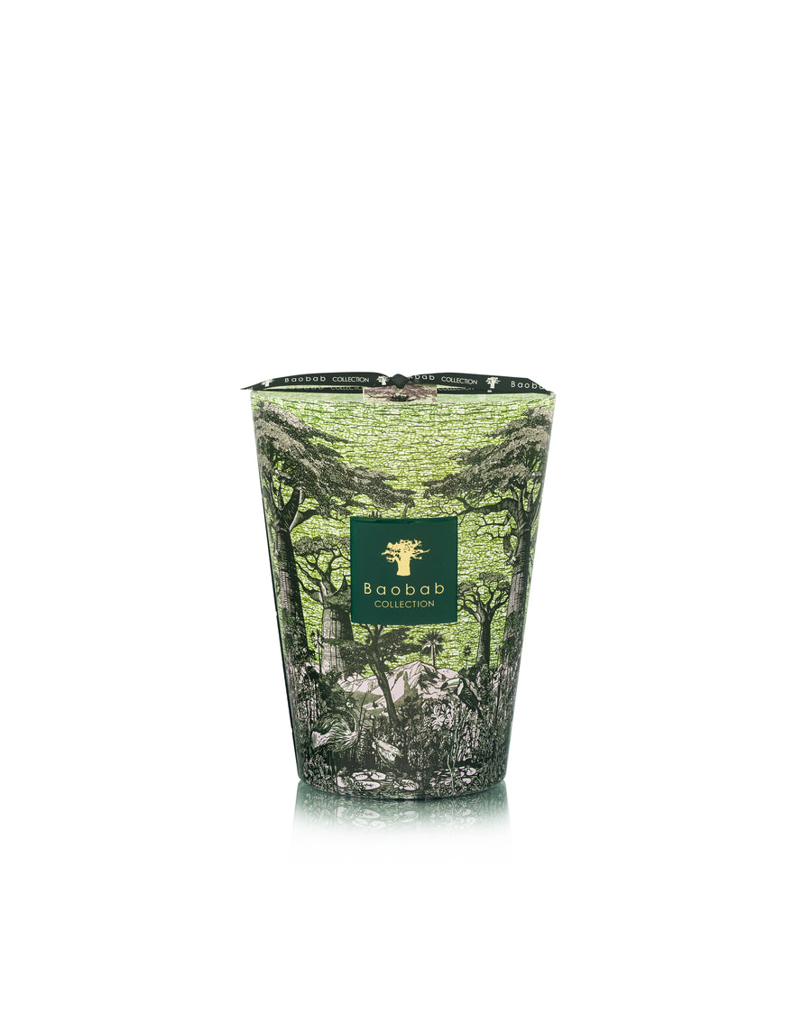 SCENTED CANDLE SACRED TREES TOUBA
