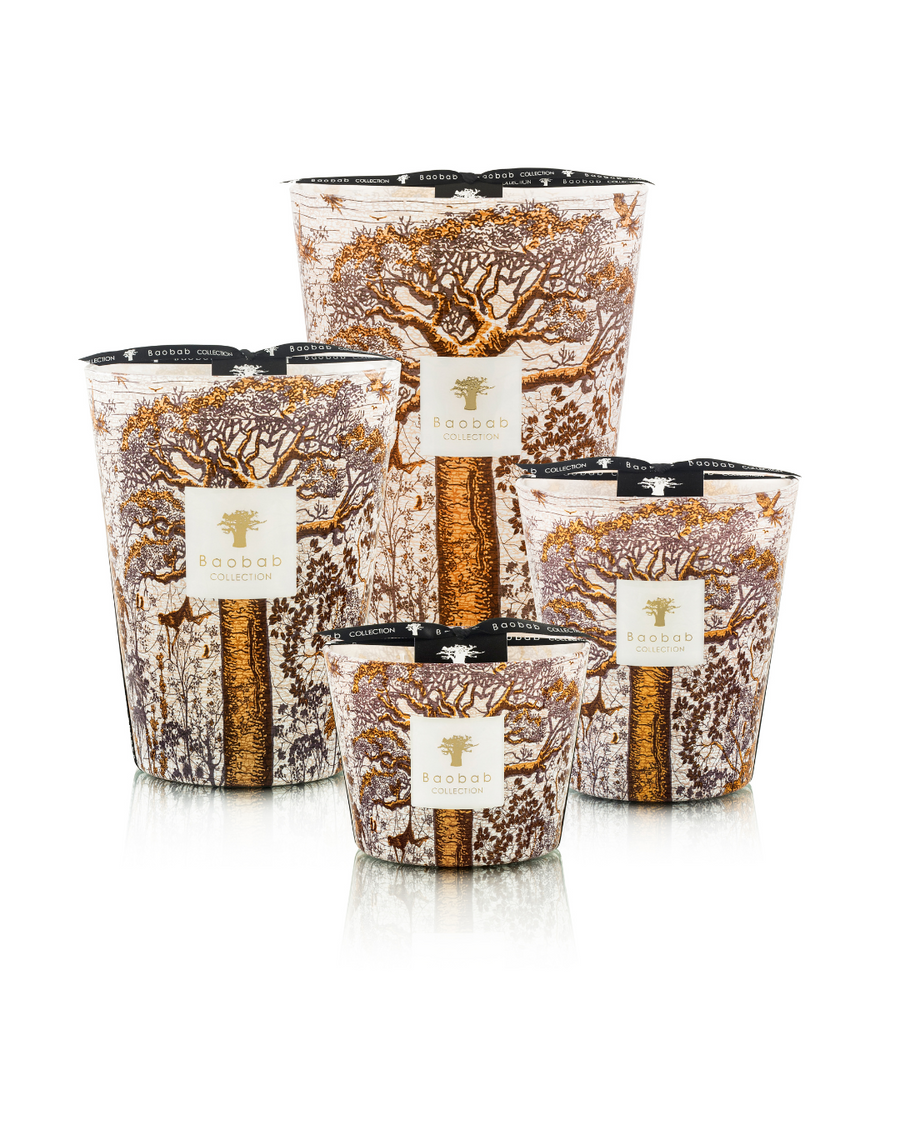 SCENTED CANDLE SACRED TREES DUALLA - Baobab Collection