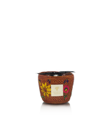 SCENTED CANDLE VONY VONINKAZO - BAOBAB COLLECTION