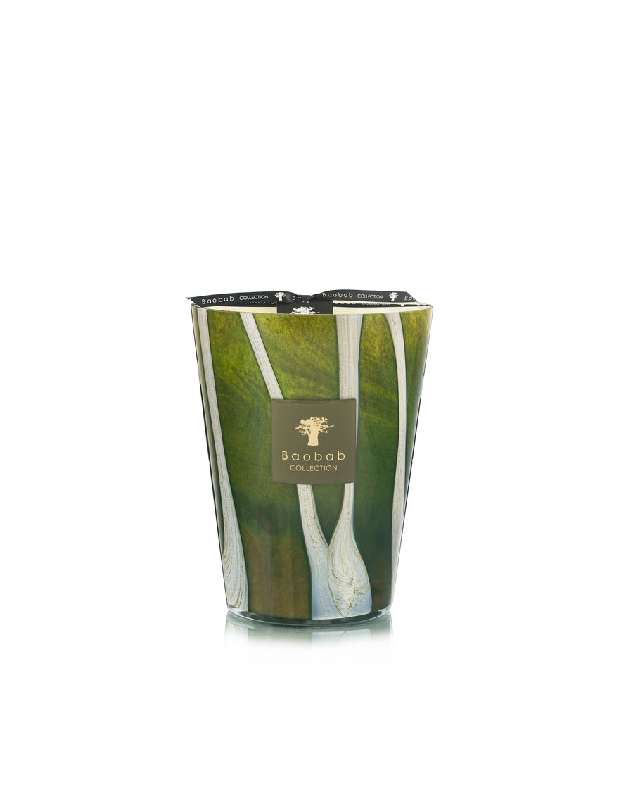 SCENTED CANDLE WOODS SHERWOOD - BAOBAB COLLECTION