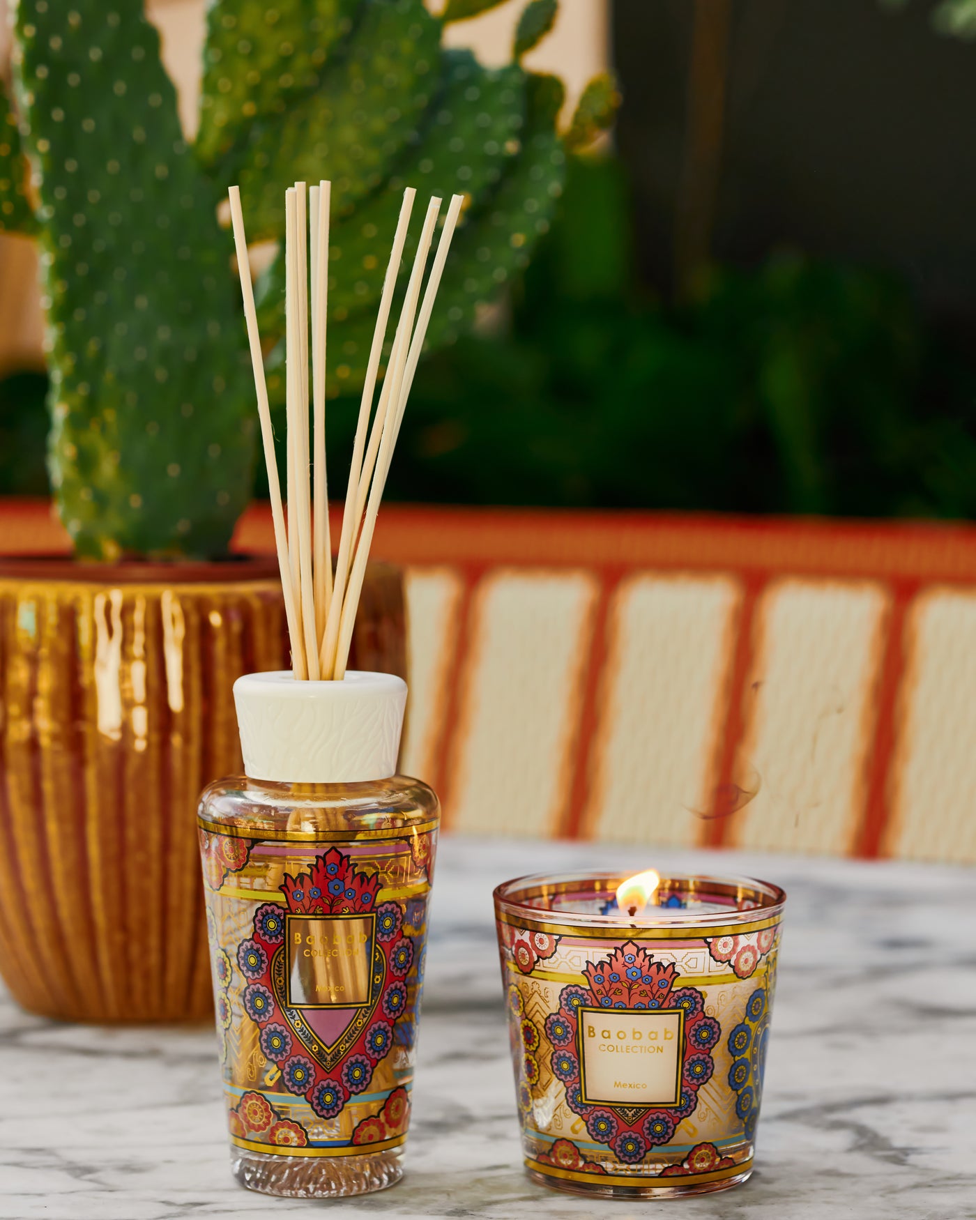 COFFRET CADEAU MY FIRST BAOBAB MEXICO