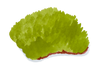 mousse_small.png?v=1707755376