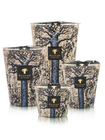 SCENTED CANDLE SACRED TREES SEGUELA - Baobab Collection