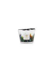 SCENTED CANDLE RAINFOREST AMAZONIA - Baobab Collection
